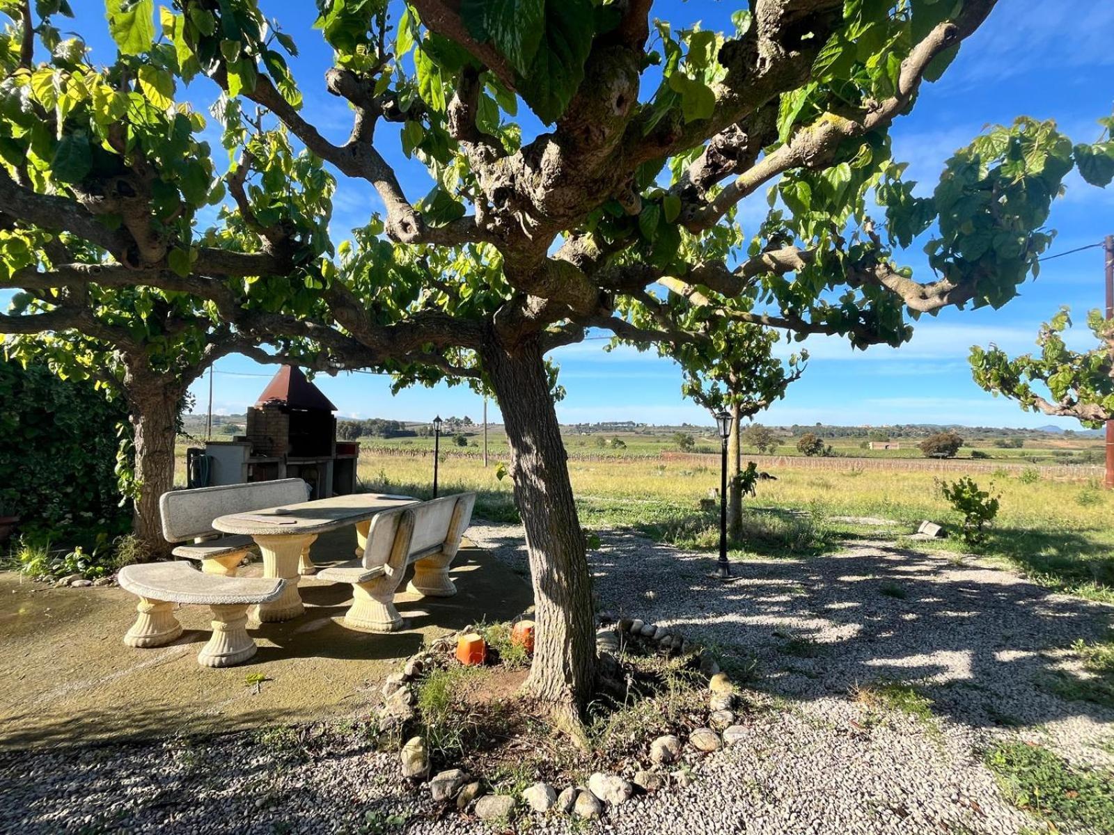 Villa Cal Muntanyes à Font-Rubi Extérieur photo